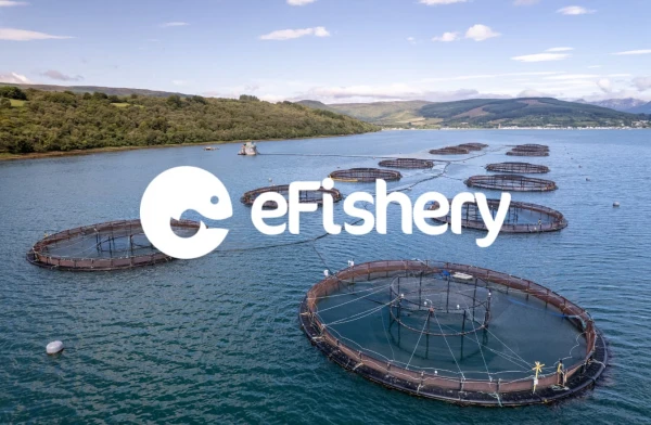 Perjalanan eFishery: Tantangan dan Masa Depan Akuakultur dengan IoT
